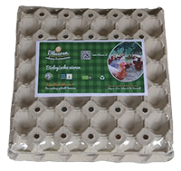 tray-30st